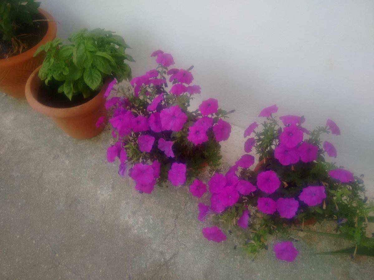 Fenicepugliese San Vito dei Normanni Buitenkant foto