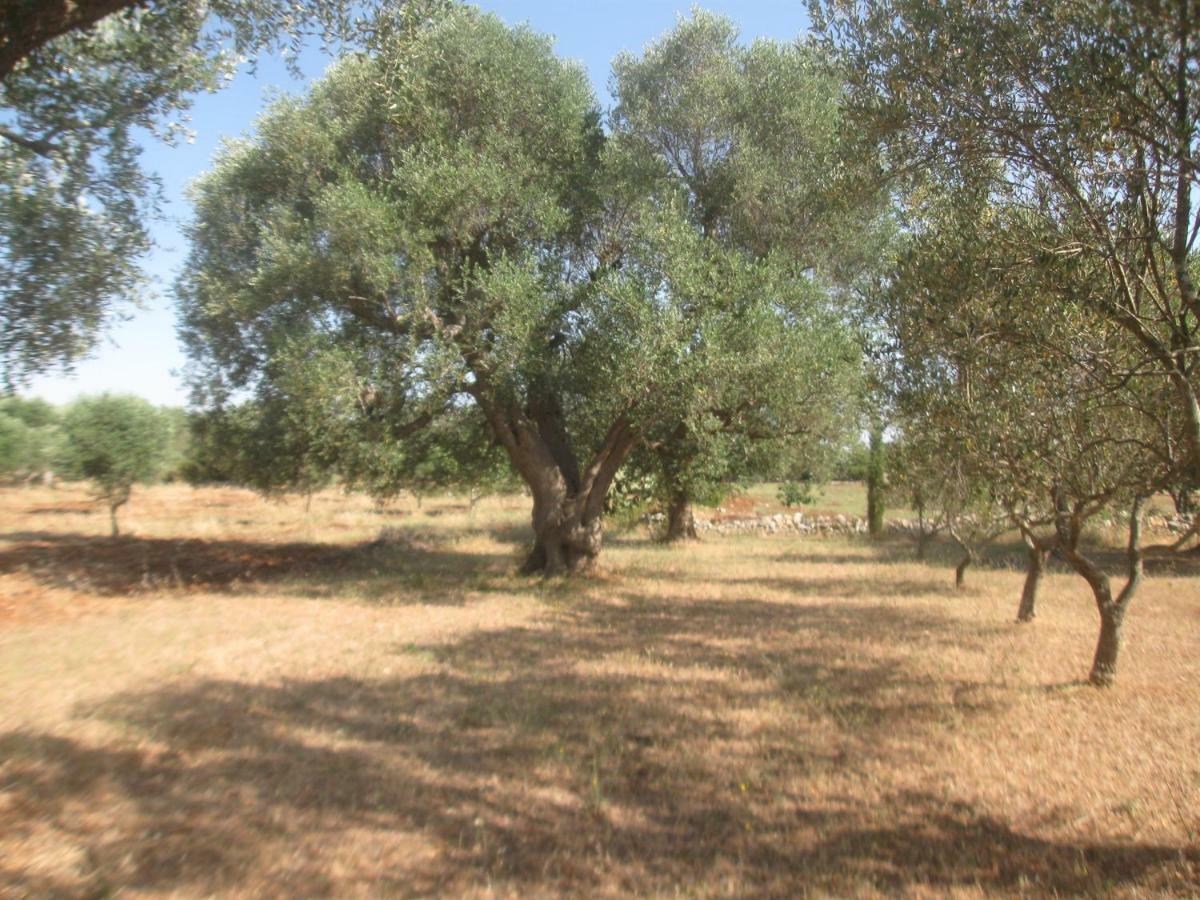 Fenicepugliese San Vito dei Normanni Buitenkant foto