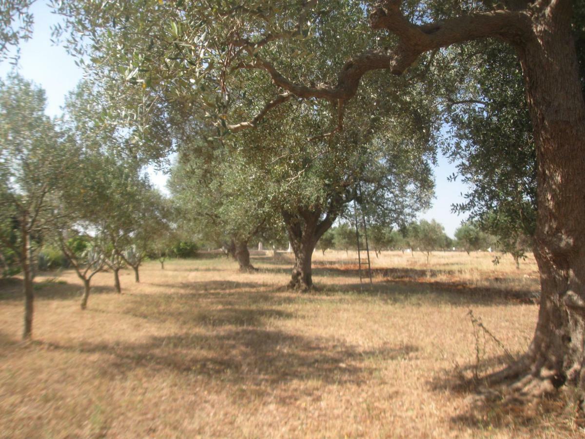 Fenicepugliese San Vito dei Normanni Buitenkant foto